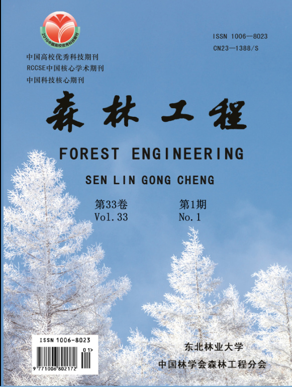 森林工程