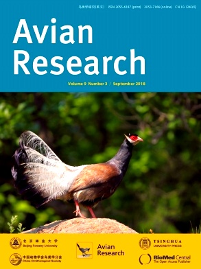 鸟类学研究（英文版）